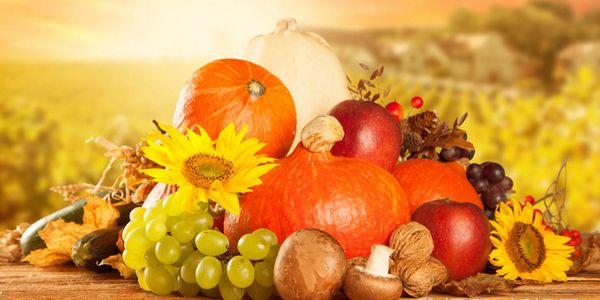 润滑油代理商大会.jpg 润滑油经销商如何参加企业年会,收获最大