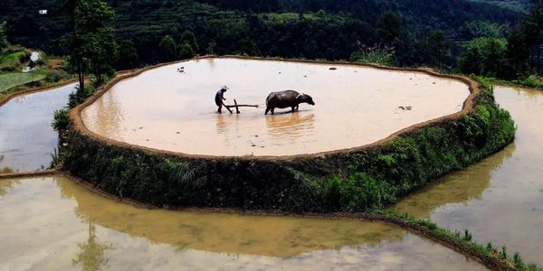 中国润滑油品牌网.jpg 4L机油卖出9000的价位,你知道怎么做到的吗?